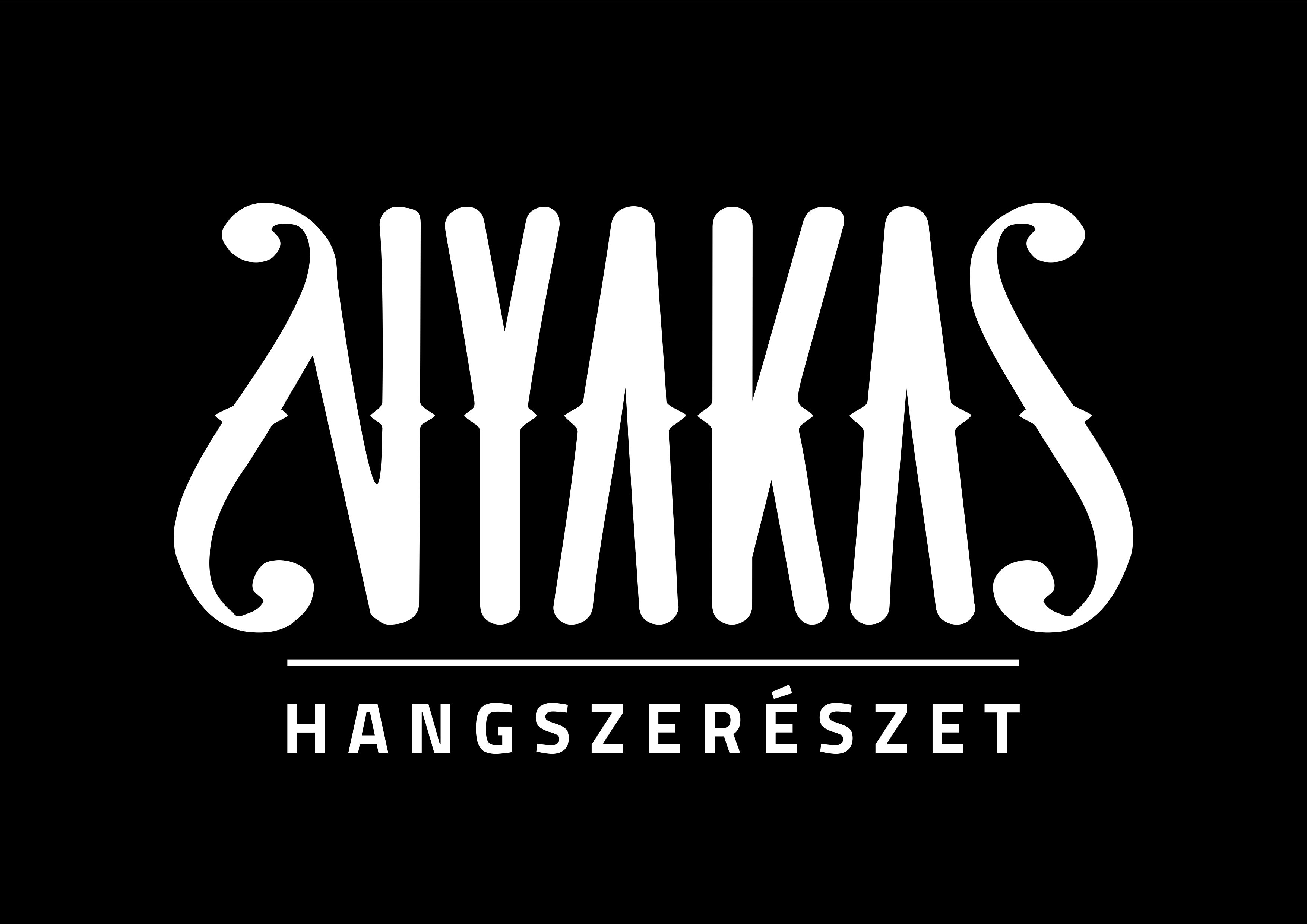 Nyakas Krisztián zenész és hangszerkészítő honlapja